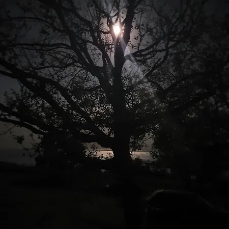 Le Terre Di Venere