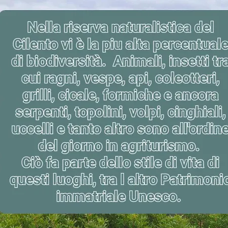 Le Terre Di Venere * Acciaroli