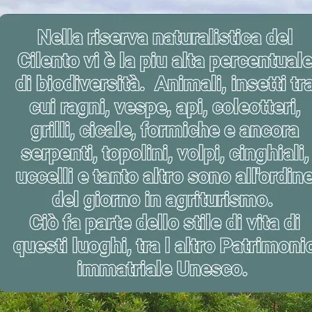 Le Terre Di Venere * Acciaroli