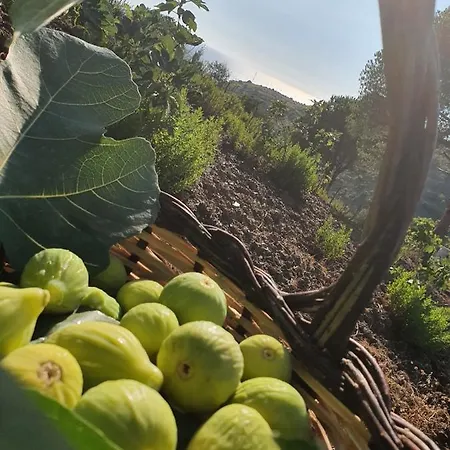 Le Terre Di Veneré * Acciaroli
